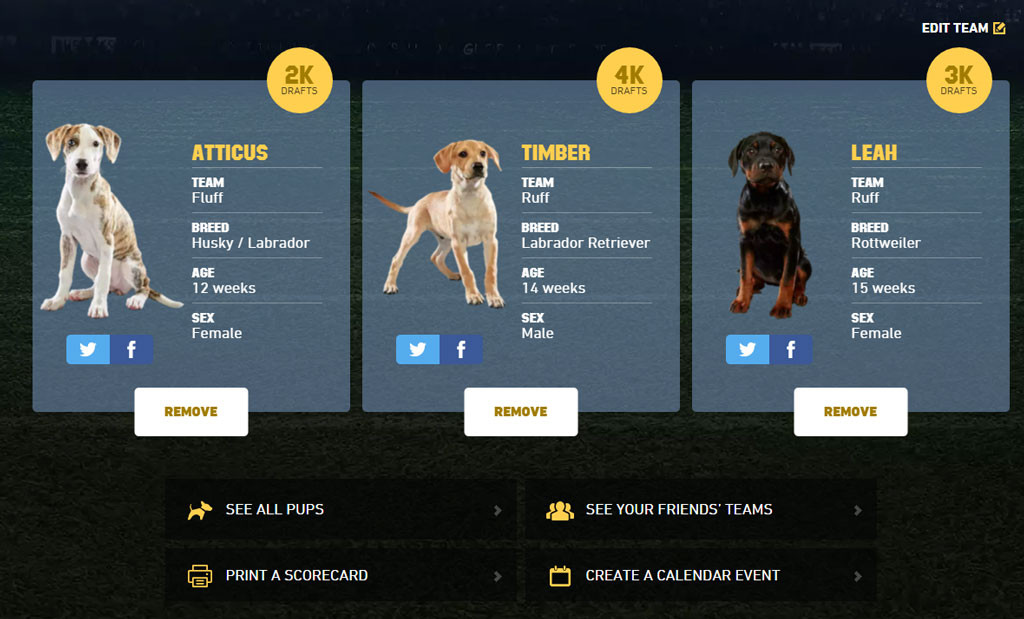 puppy bowl teams forget the bowl draft your own puppy bowl team instead e news puppy bowl teams forget the bowl draft your own puppy bowl team instead e news